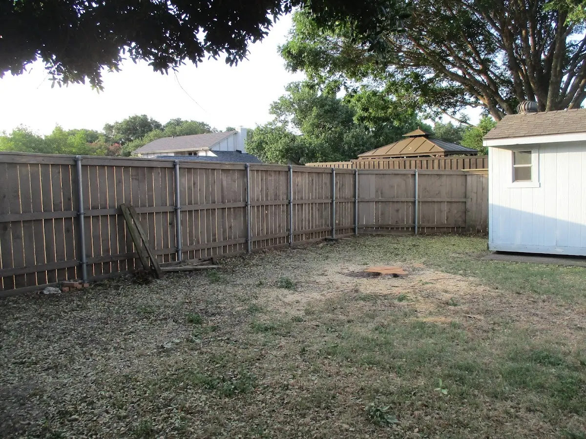 Cleared yard after professional tree removal in Buckingham